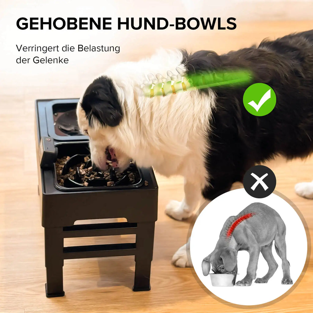 Amicura Raised Dog Bowl 2-in-1 Leak-Proof Foldable Water Bowl Anti-Gulping Bowl 4 Height-Adjustable Raised for Dogs and Cats